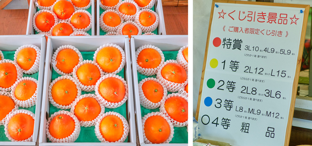 リバーファーム収穫祭