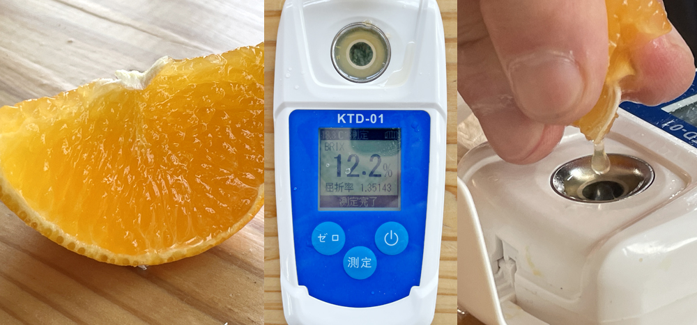 瀬戸プリンセス