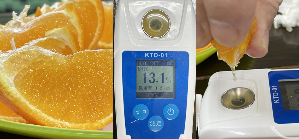 瀬戸プリンセス