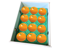 瀬戸プリンセス化粧箱M12個