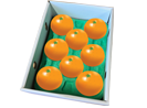 瀬戸プリンセス化粧箱L8個