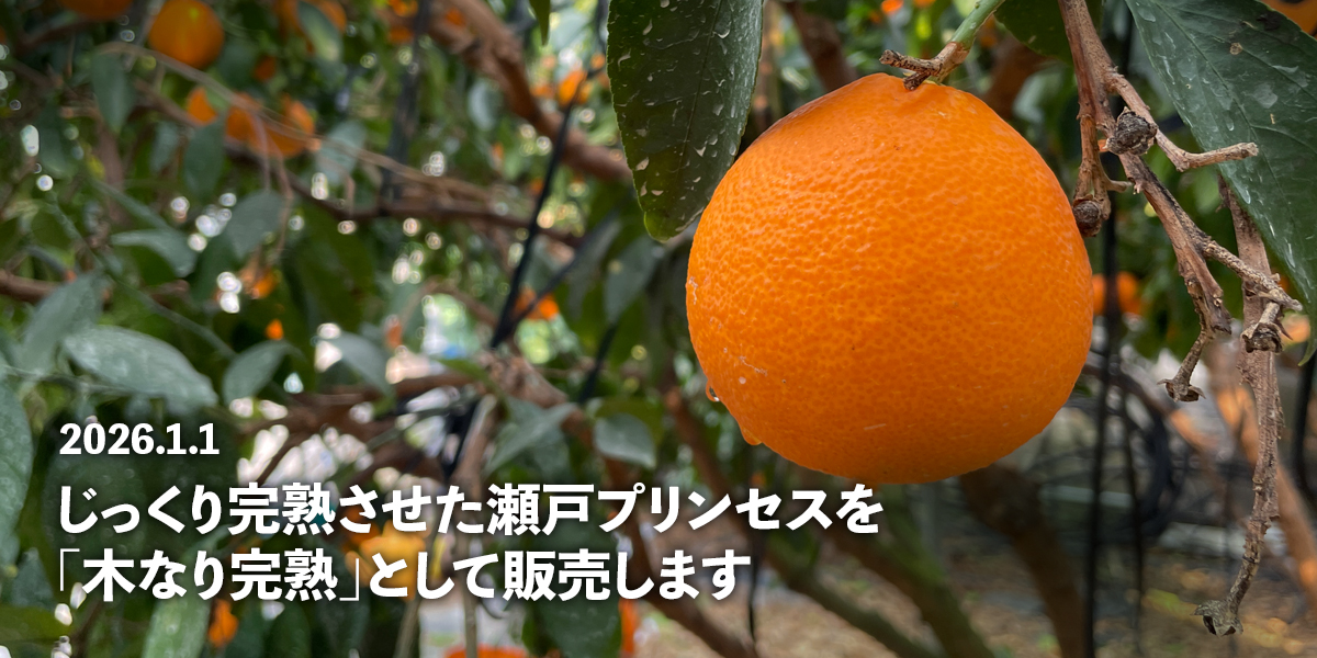 スライドショー