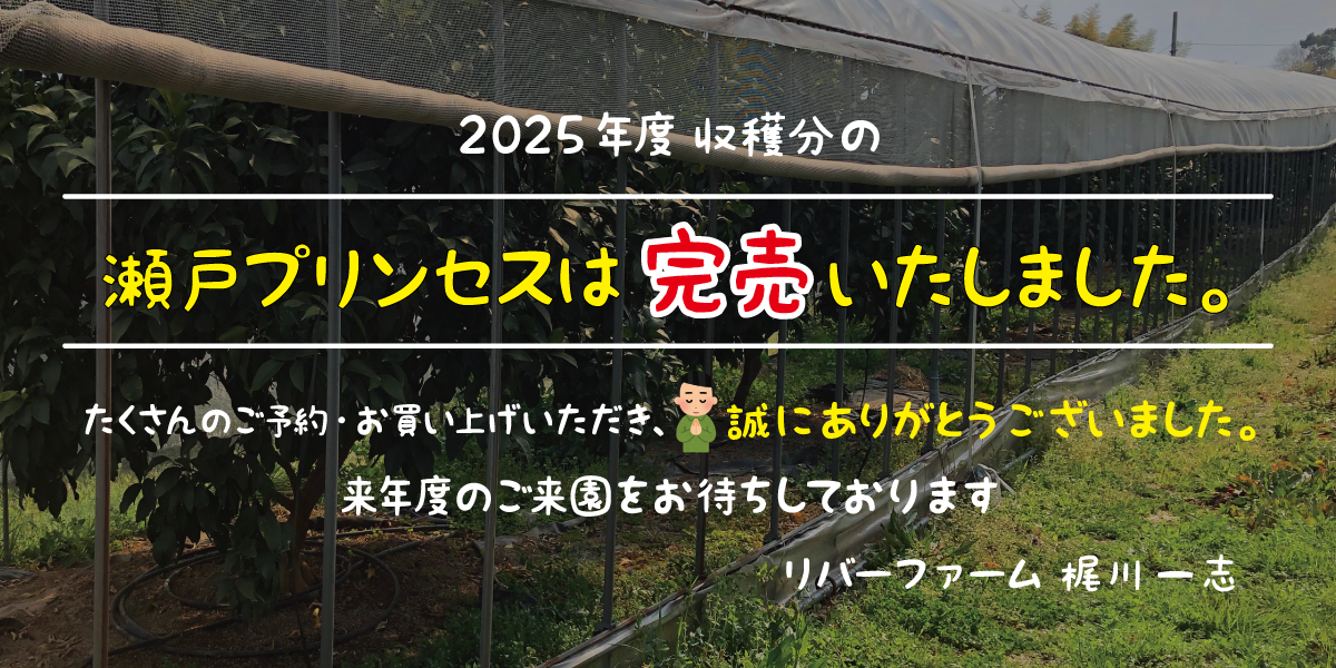 スライドショー