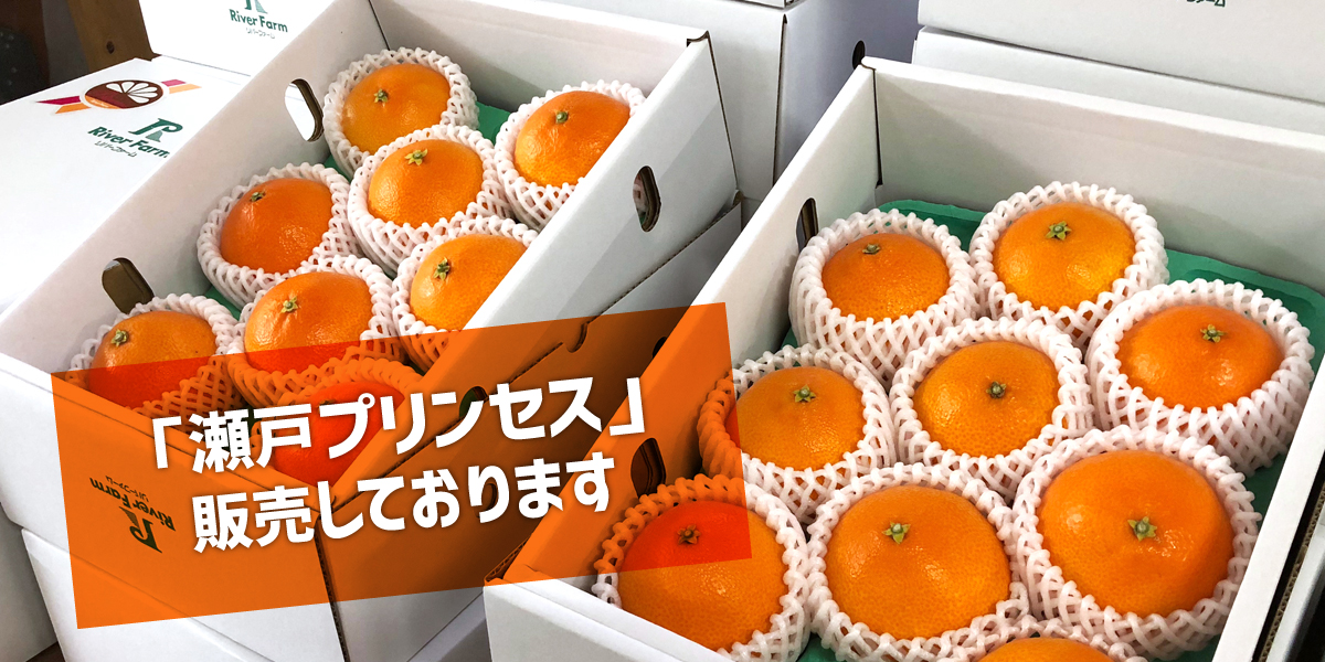 スライドショー