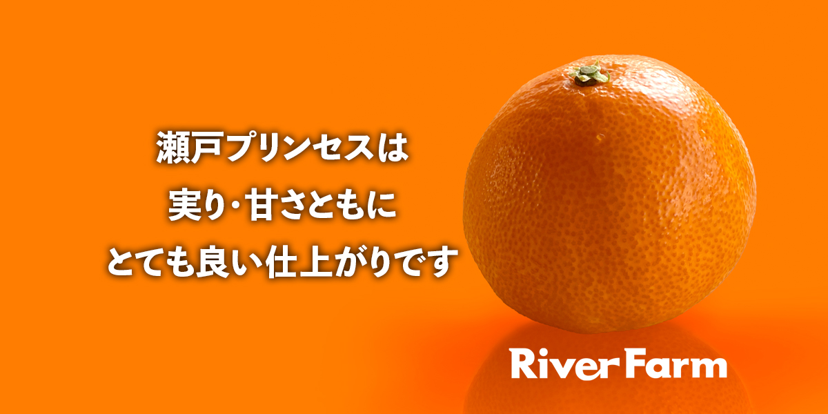 スライドショー